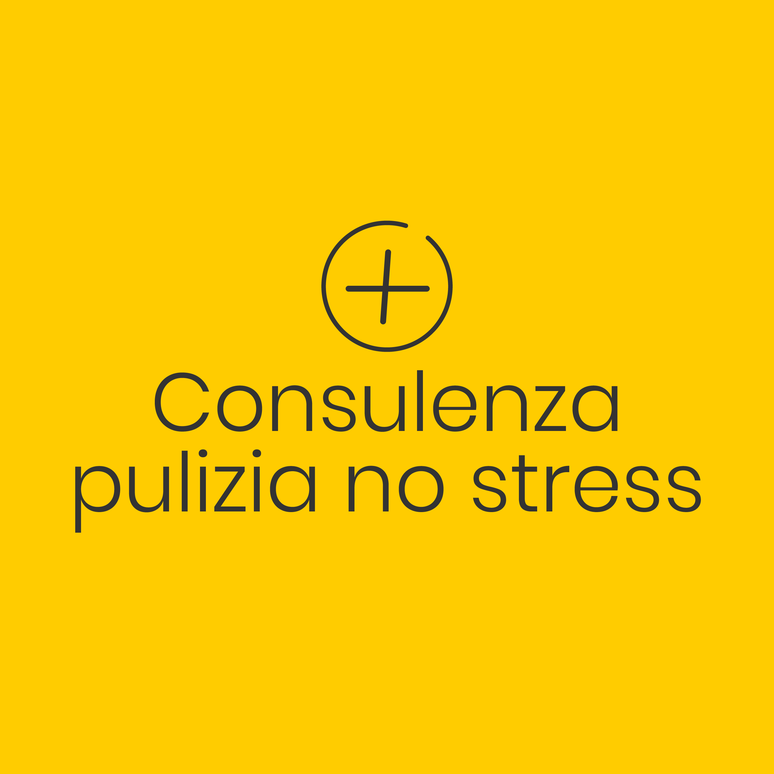 CONSULENZA-PULIZIA-NO-STRESS-BERTON